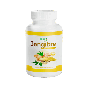 JENGIBRE EN CÁPSULAS